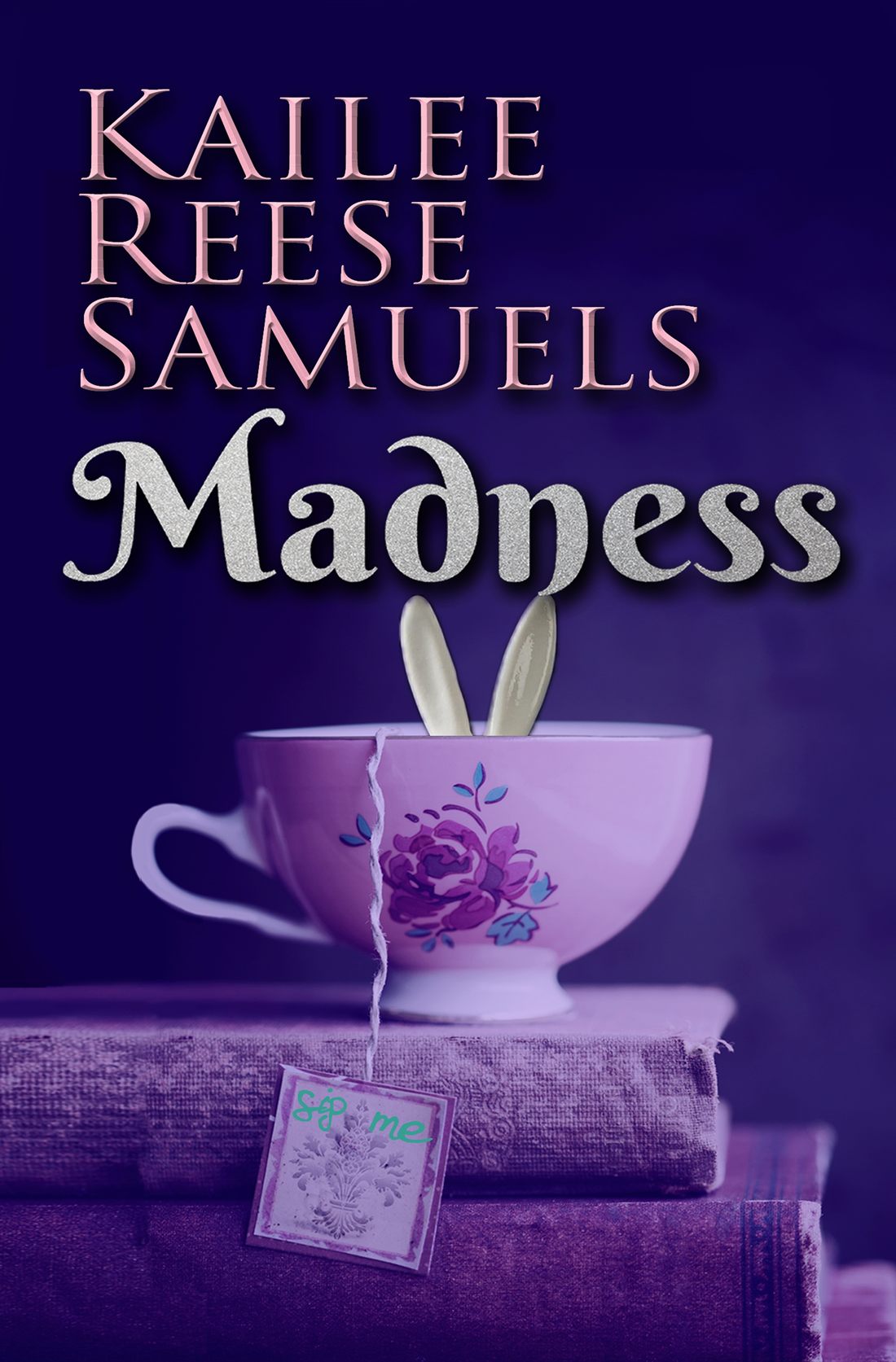 Madness book cover by Kailee Reese Samuels
